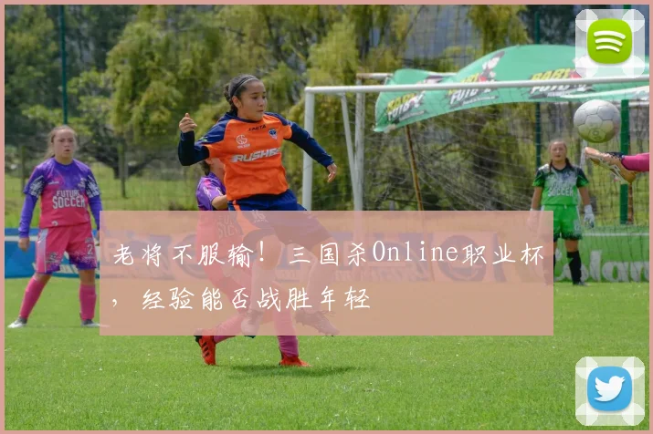 老将不服输!三国杀Online职业杯,经验能否战胜年轻