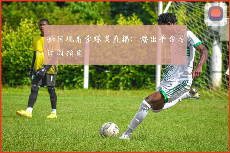 如何观看金球奖直播:播出平台与时间指南