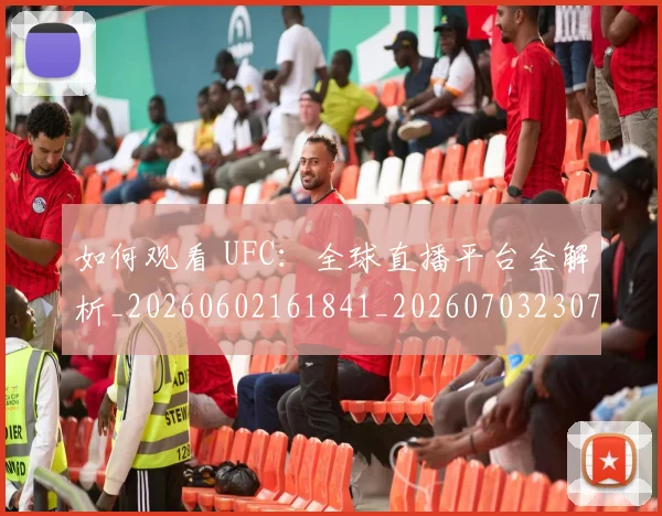 如何观看 UFC：全球直播平台全解析_20260602161841_20260703230704