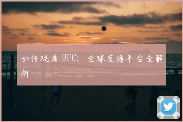 如何观看 UFC:全球直播平台全解析